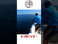 100kgクラスのマグロが掛かると… #shorts