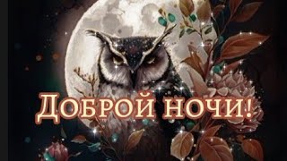 Доброй ночи! Самых приятных снов!