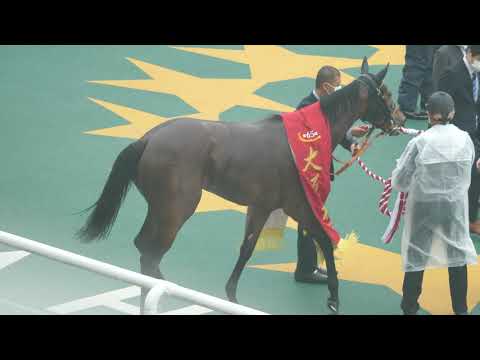 【🐴現地撮影】レイパパレ 大阪杯 パドック、レース後の映像