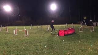 Agility Training