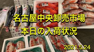 [魚市場]名古屋中央卸売市場本日の入荷状況2021.5.24
