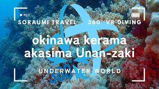 Cave Diving Japan in 360° VR | Kerama Islands, Okinawa #scubadiving #cavediving #japan #360 #vr screenshot 5