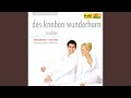 Miniature de la vidéo de la chanson Das Himmlische Leben