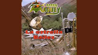 Vamos A Bailar - Banda Maguey