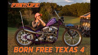 Born-Free Texas 4
