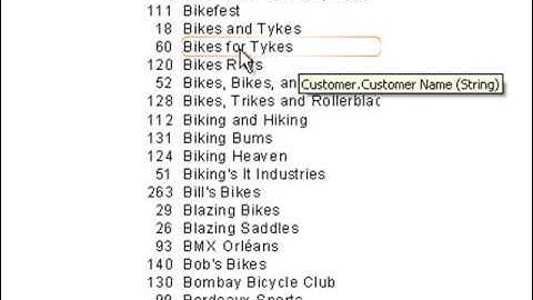 Crystal Reports Training: Use wildcards with LIKE in the record selection formula