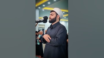 فَاذْكُرُونِي أَذْكَرُكُم وَاشْكُرُوا لِي وَلَا تَكْفُرُون | تلاوة رائعة من سورة البقرة