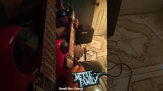 Video thumbnail of "Metal Family - smell like cherry"