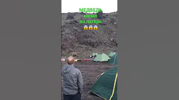 Путешествие по Камчатке. Медведь напал на лагерь туристов.