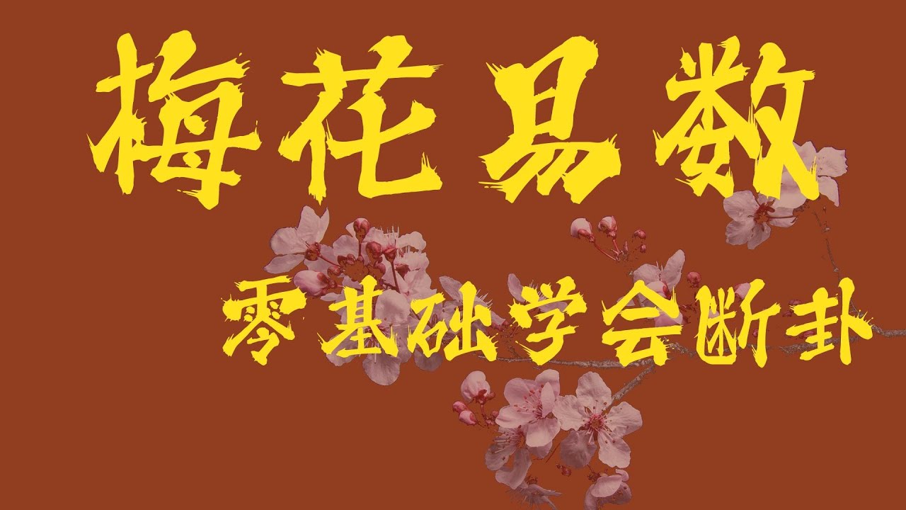 零基础学习梅花易数 数通未来 七步起卦断卦法