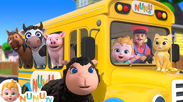 Wheels On The Bus Animal Song For Toddlers + More Nursery Rhymes & Kids Songs | NuNu Tv