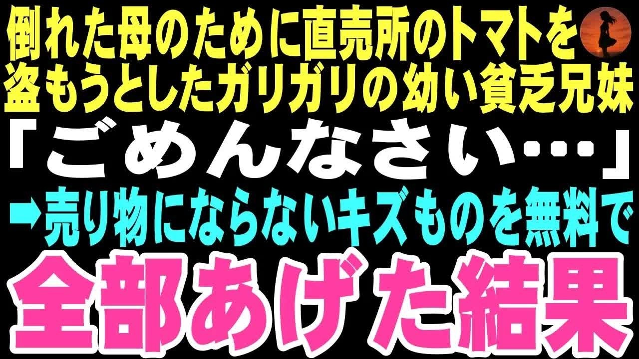 【感動する話】倒れた母のため、幼い妹を連れた少年が直売所のトマトに手を伸ばした。声をかけると逃げていったが、翌朝また現れた二人に俺は傷物のトマトを手渡した。この出会いが俺の人生を変えるとは…【朗読】