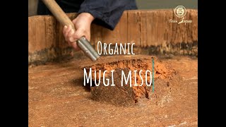 How our organic Mugi Miso is produced (MUSO)