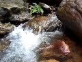 Beautiful Nature Water Sound #shorts | Nature Sri Lanka