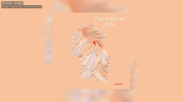 Morgen Wurde - Wusste Längst feat. Tetsuroh Konishi - Pop Ambient 2026 - Kompakt