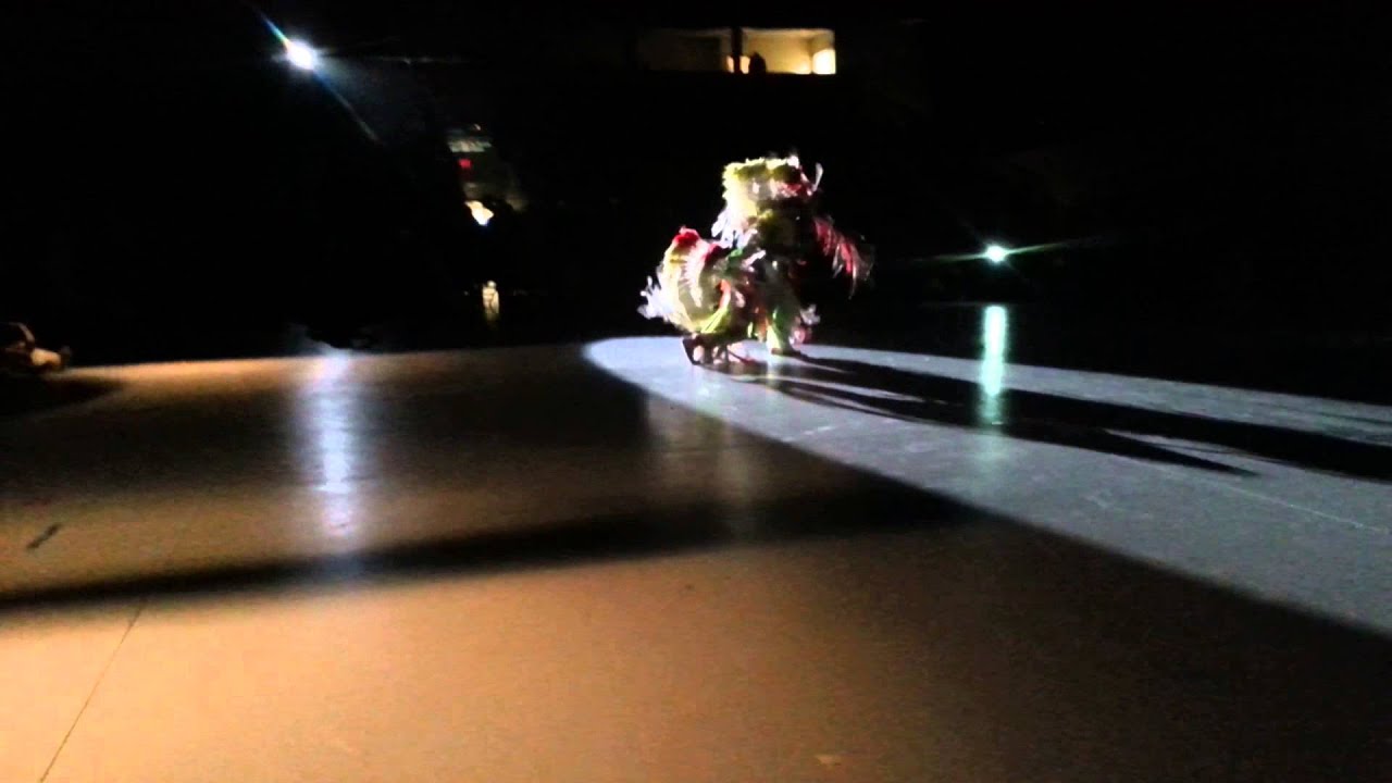 Fancy Grass Spot Light Dance