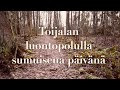 Patikointia ja ulkoilua luontopolulla Toijalan satamassa