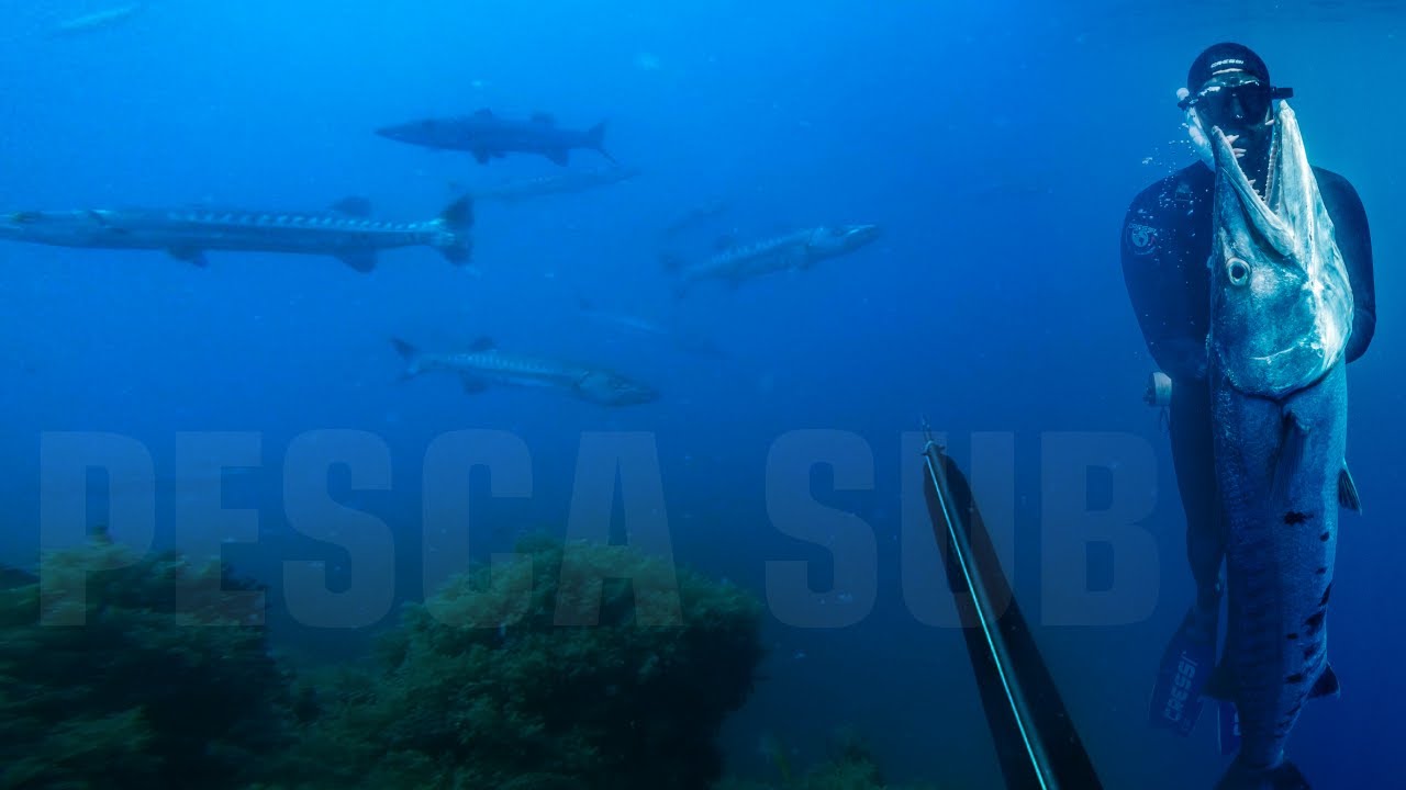 {PESCA SUB] CONFIRA ESSA PESCARIA INCRÍVEL NO EXTREMO SUL DA BAHIA