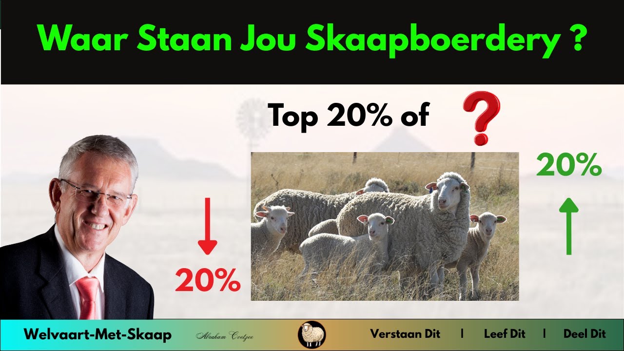 WMS - Hoekom is mentorskap van kritieke belang in jou skaapboerdery?