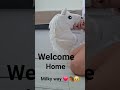moja kochana milky way welcome home❤️🥹🐴#hobbyhorse #walcomhome