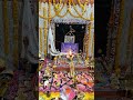 #vasuki dada #aj #thangath
