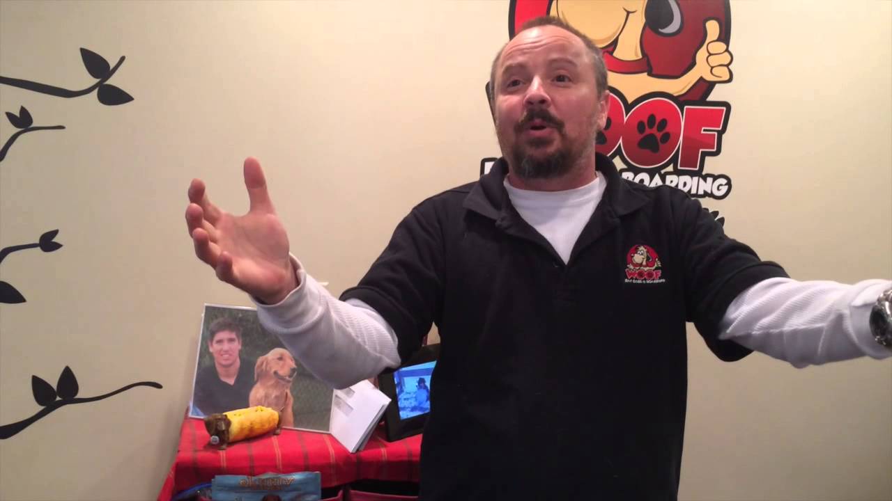 Ryan Kowalski, owner of Woof Day Care & Boarding YouTube
