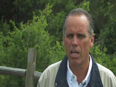 College Clay Target Championships