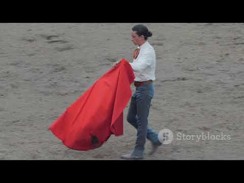   1080 لماذا يهاجم الثور اللون الأحمر الحقيقة 2025 02 27