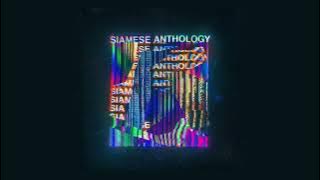 19:26 & Animal Picnic - XX