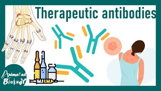 Therapeutic antibodies | Antibodies as medicine