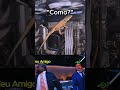 “Como?☠️” #pcgaming #benchmark #rtx5050 #gtx1080ti