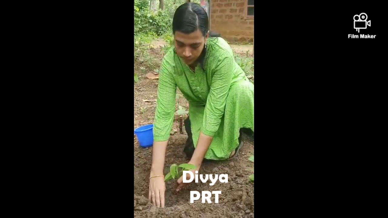 my-lockdown-tree-campaign-kv-crpf-pallipuram-youtube