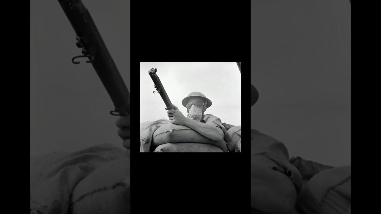 Desert Fox vs Desert Rats – The Battle for North Africa 