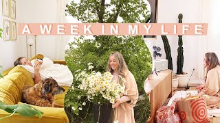 flower foraging, a trip to the usa & hosting a baby shower * a week in my life