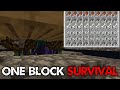 Diriku Kayaaa - One Block Survival #8