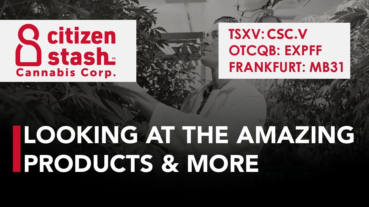 Citizen Stash; Looking at the Company's Amazing Products & Where Citizen Stash Lands in the Market