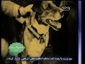 #صاحبة_السعادة فيديوهات تاريخية من الحرب