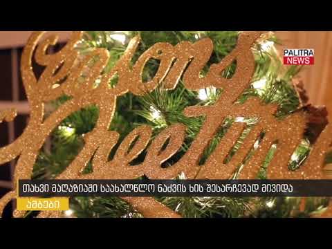 თახვი მაღაზიაში საახალწლო ნაძვის ხის შესარჩევად მივიდა