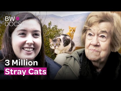 CATS VS. DOGS: THE PAWSOME DEBATE