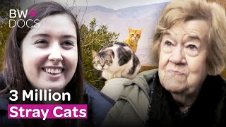 Cats vs. Dogs: The Pawsome Debate