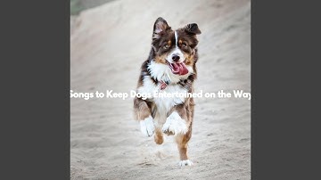 Pulsating Backdrops for Fast Thoughts