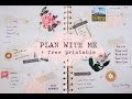 Plan With Me + Free Printable | Vintage Rose Spread