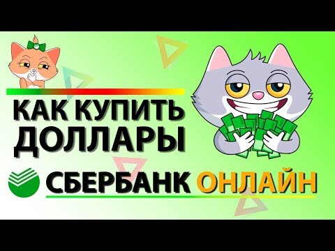 Как быстро купить доллары в Сбербанк Онлайн? Покупка и обмен валюты в банке