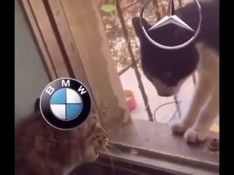 Мерс и БМВ приколы