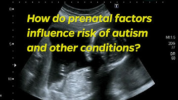 How do prenatal factors affect autism and other conditions?