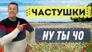 Частушки 