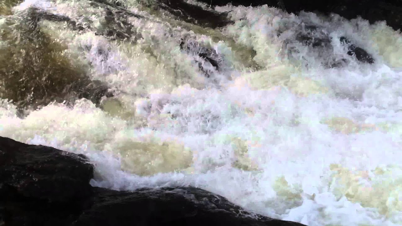 Falls Of Dochart Salmon