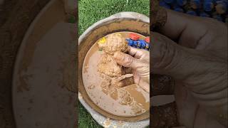 Download Lagu Domba kecil dari lumpur | Best Oddly Satisfying 🌟 #shortvideo #oddlysatisfying #domba MP3