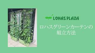 5分で組立 自立式グリーンカーテンの通信販売 Lohas Plaza