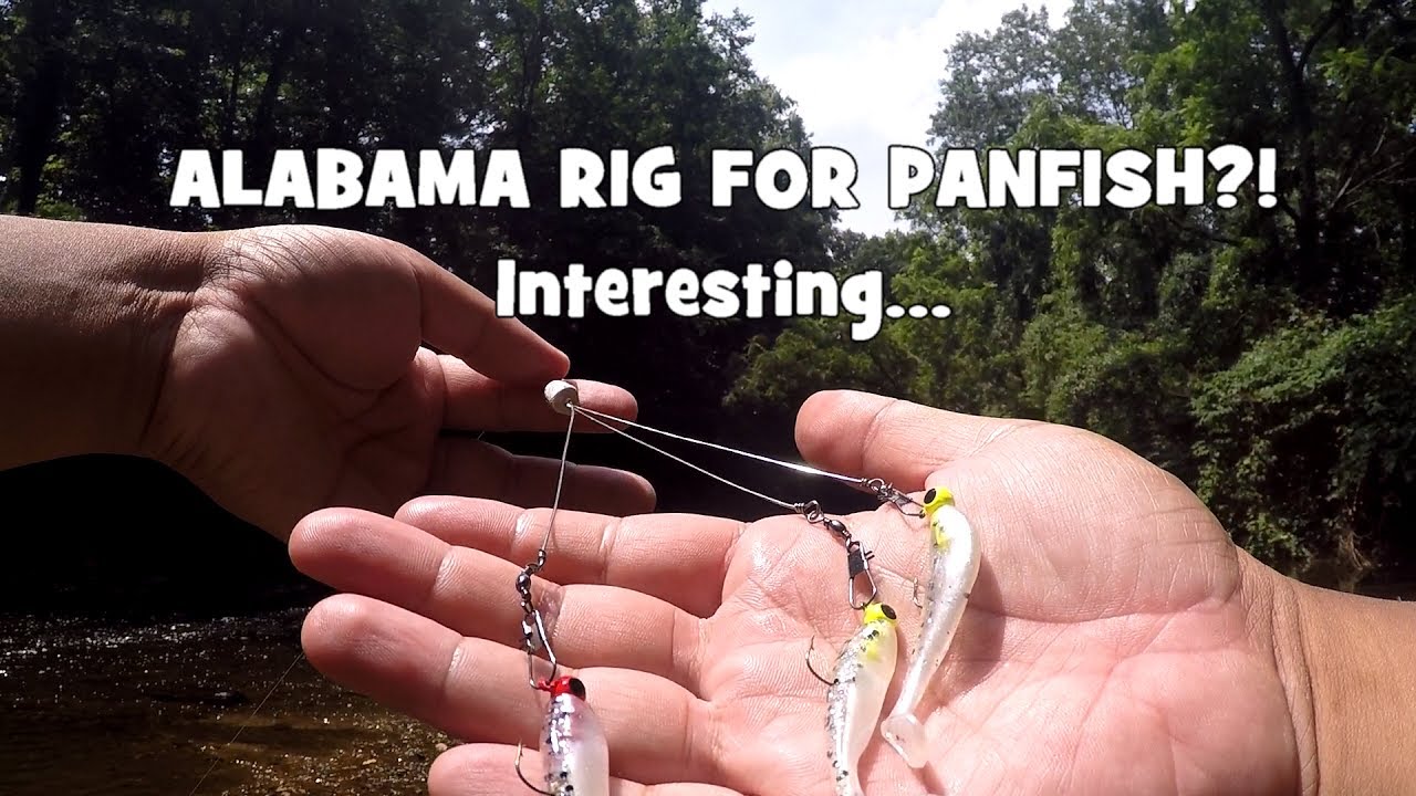 ALABAMA Rig for PANFISH?! WADING & Fishing w/ my MTB BOX! (Panfish